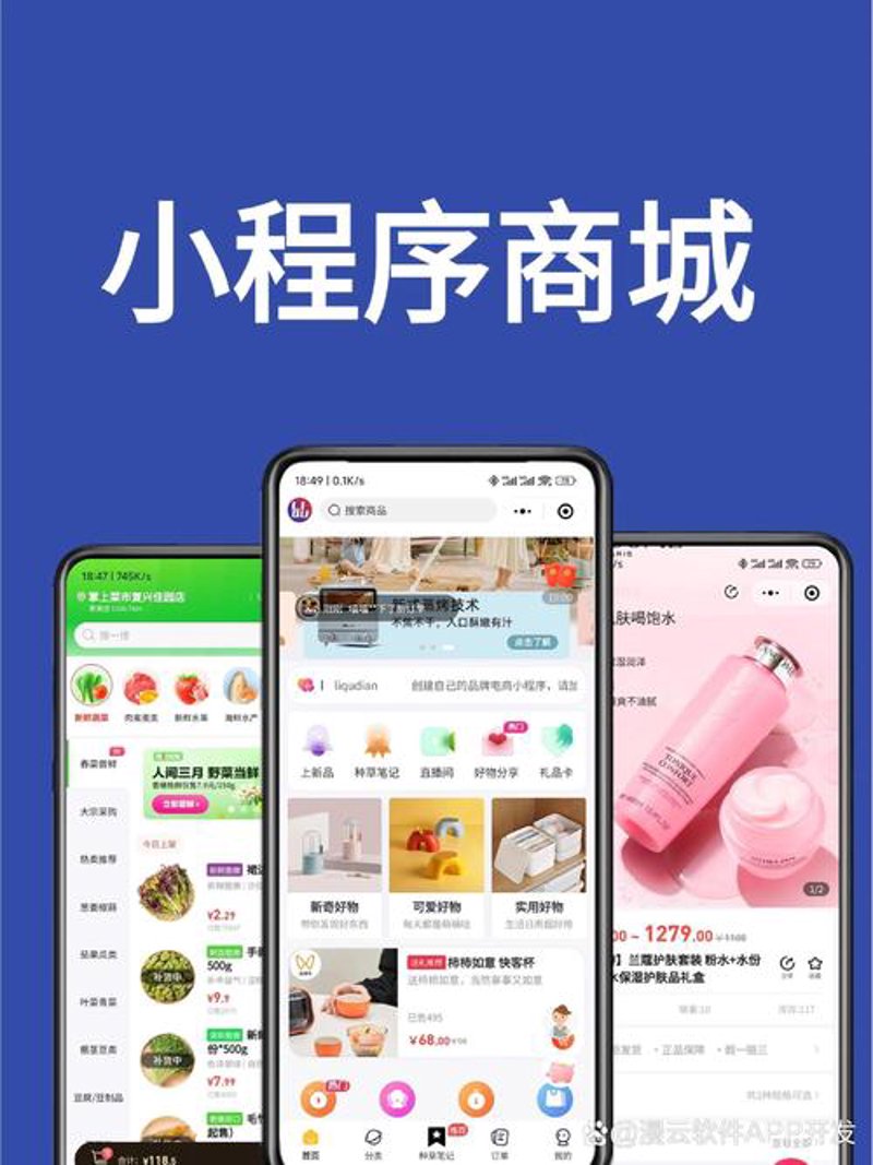 系统定制：助力企业精准导航未来的航标